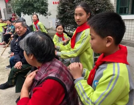 指向“5C 素养”的小学综合实践项目式学习探究论文