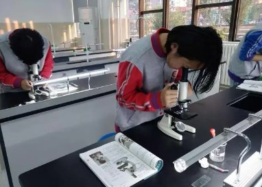 组建兴趣小组，提高教学质量论文