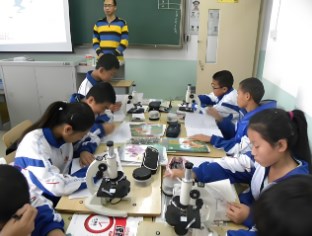 组建兴趣小组，提高教学质量论文