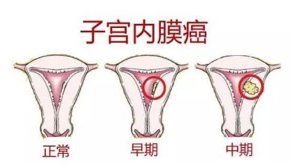 Dingtalk_20231217131950.jpg