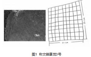 称多棋盘岩画的文化特性探究论文