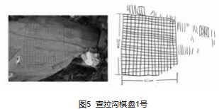 称多棋盘岩画的文化特性探究论文