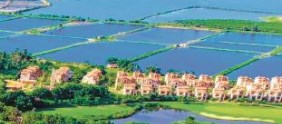“双碳”目标下房地产业环境信息披露质量评价研究论文