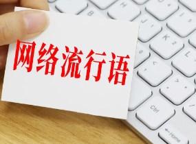 大学生使用网络流行语现状论文