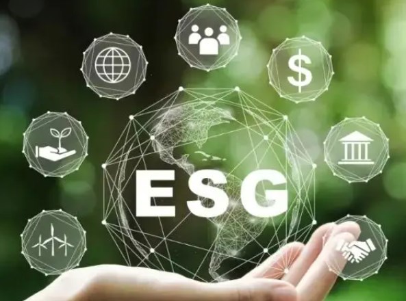 ESG表现对企业经济价值的异质性影响论文