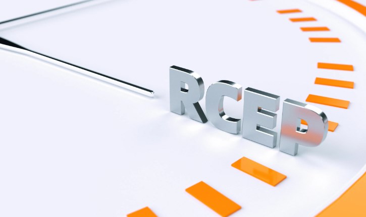 RCEP框架下如何打造对外招商引资服务新体系论文