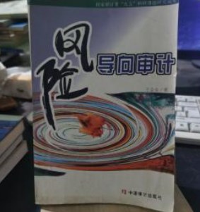 风险导向型审计在集中式光伏电站建设项目中的应用研究论文