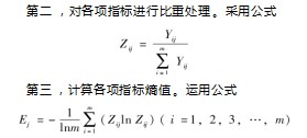 基于熵权法的云南白药金融化行为及财务绩效分析论文
