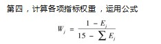 基于熵权法的云南白药金融化行为及财务绩效分析论文
