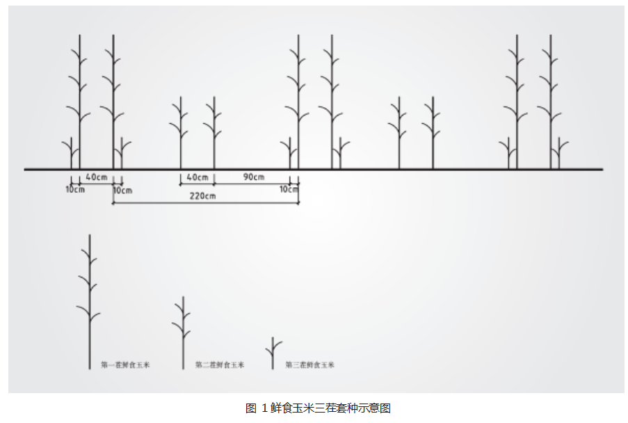 70b3abd4b96a48a52332f9c2ad5a47d.png