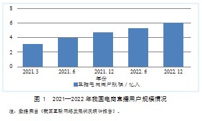 新媒体视角下电商直播平台的营销策略研究论文
