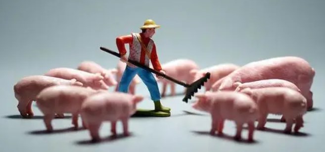 新型农村合作金融农户参与意愿及影响因素研究论文