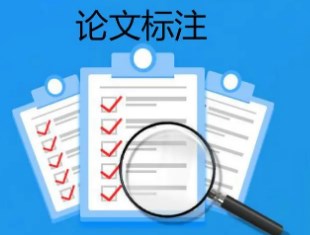 论文中标注示例什么意思（标注示例的注意事项）