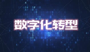 005XpTbZly1hi309xttjaj30j60j50u4.jpg