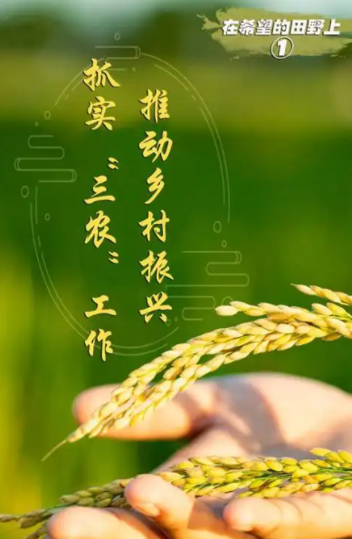d0541456f6f36d31d60962e2ebfe244.png