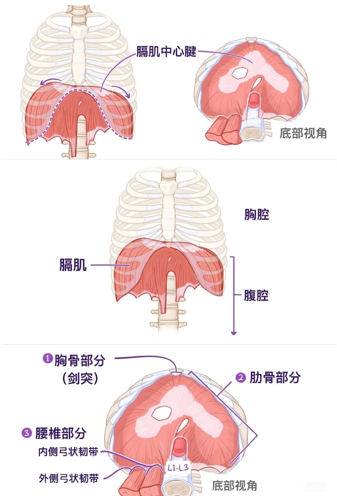 883f697d45abe0b150275861e4917ee.jpg