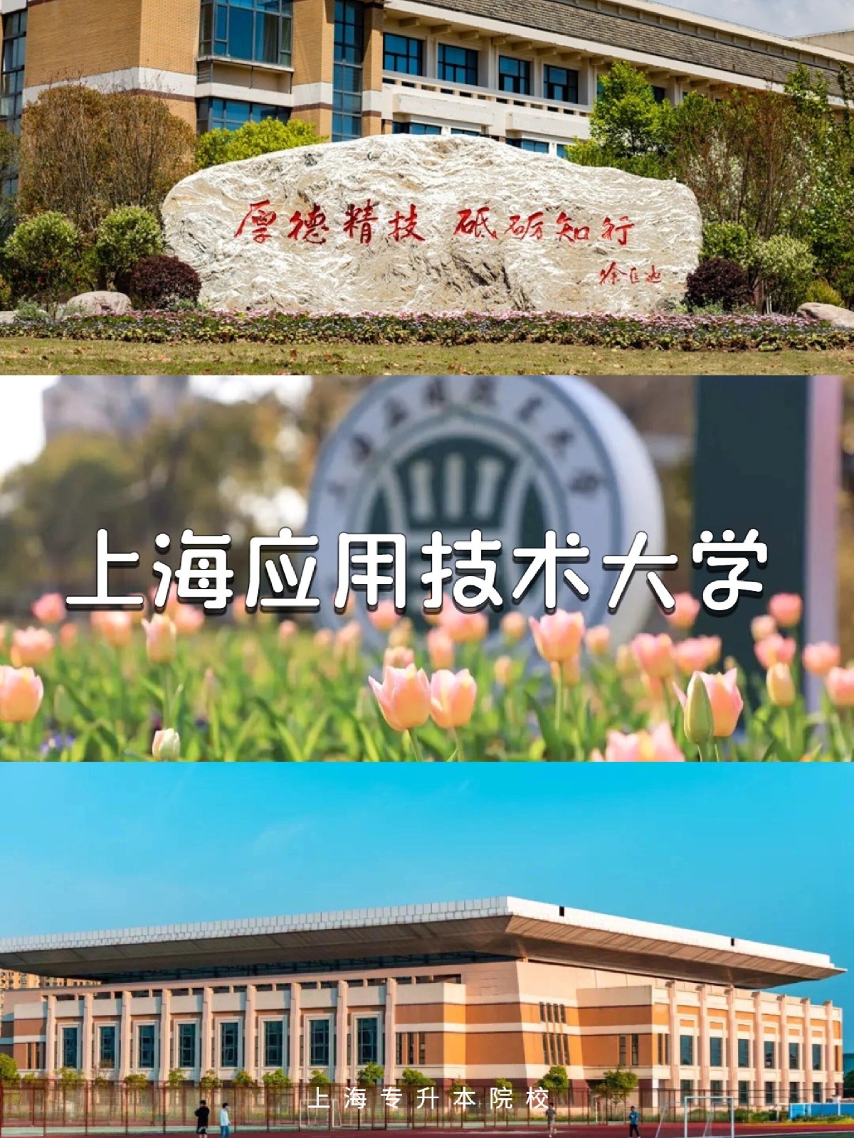 3f87a984fd4ef9a665c1be370abe52b.jpg
