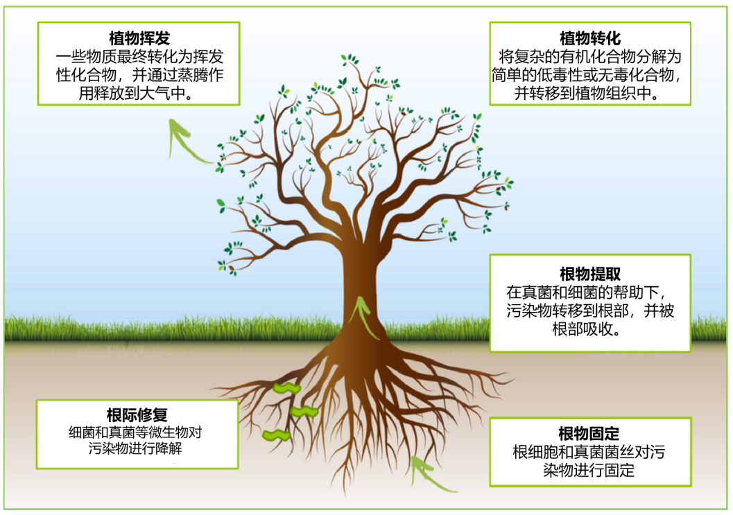 a964f9d0d4be136e32119bf54fc72da.png