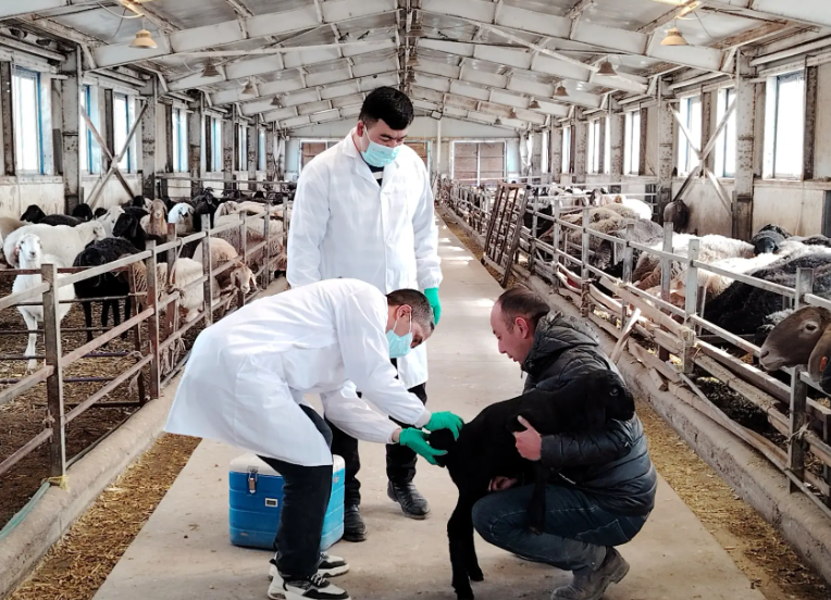 4bbf125f15fbc4b761c3dd415a357af1.png 4bbf125f15fbc4b761c3dd415a357af1.png