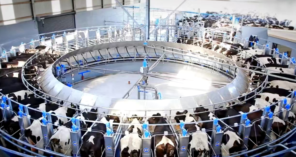 afa038f0e77083287fa972bed75e26f6.png afa038f0e77083287fa972bed75e26f6.png