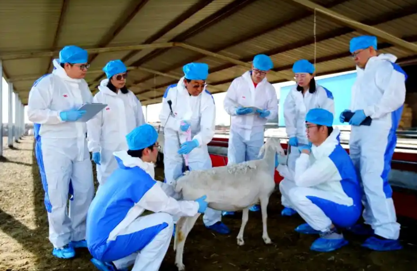 05a14bf1786e7bc4c88fe80603664c1d.png 05a14bf1786e7bc4c88fe80603664c1d.png