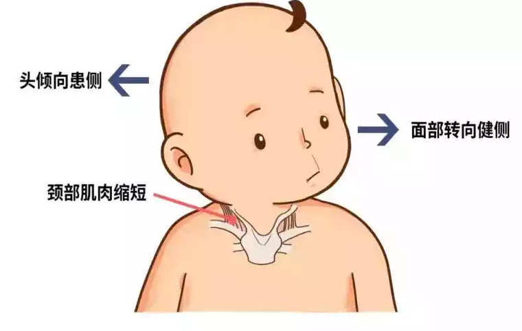 55703f2af91aca0e4442b7d692b214a5.png