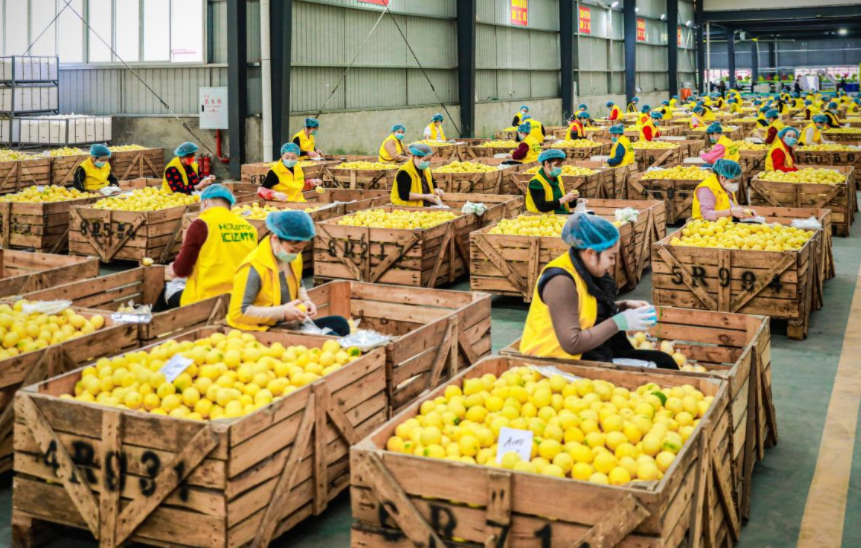 e46ad6f376541ddeafe55b96a169723f.png e46ad6f376541ddeafe55b96a169723f.png