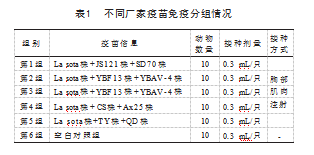 d0467f8c5a1e15f578eac8f857159d8c.png