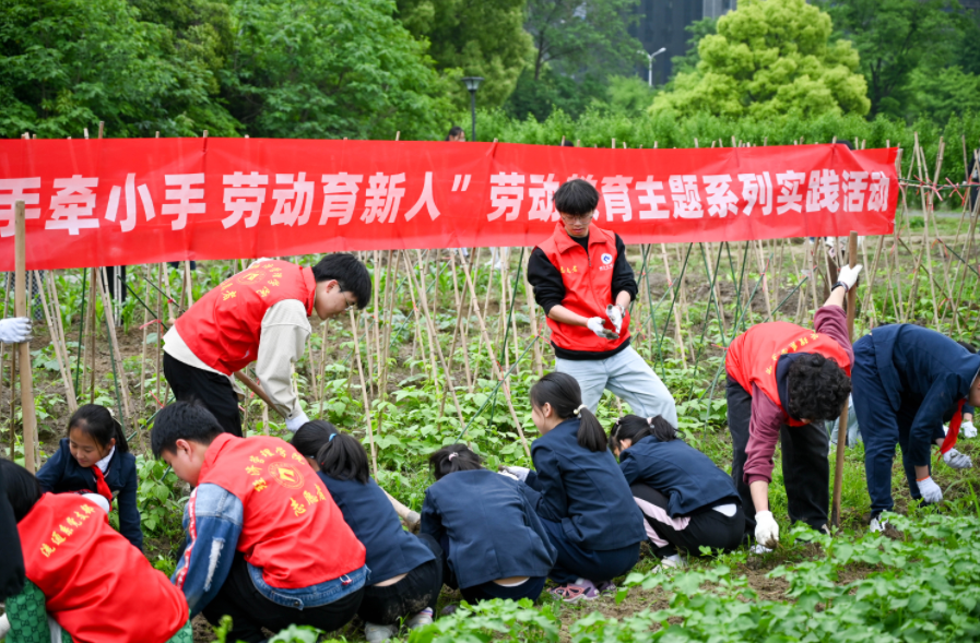 288ebc591a7db6fde77403f8e0069363.png 288ebc591a7db6fde77403f8e0069363.png