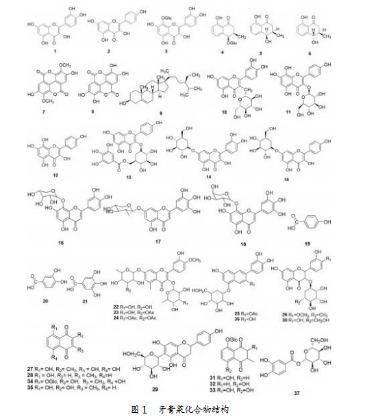 50da19ccf2ea9c1774e90cc93d3ea26a.png 50da19ccf2ea9c1774e90cc93d3ea26a.png
