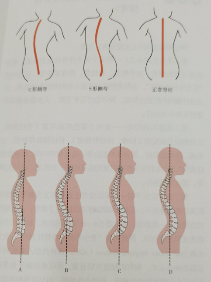 3507a2576768f1050450a767163cf339.png 3507a2576768f1050450a767163cf339.png