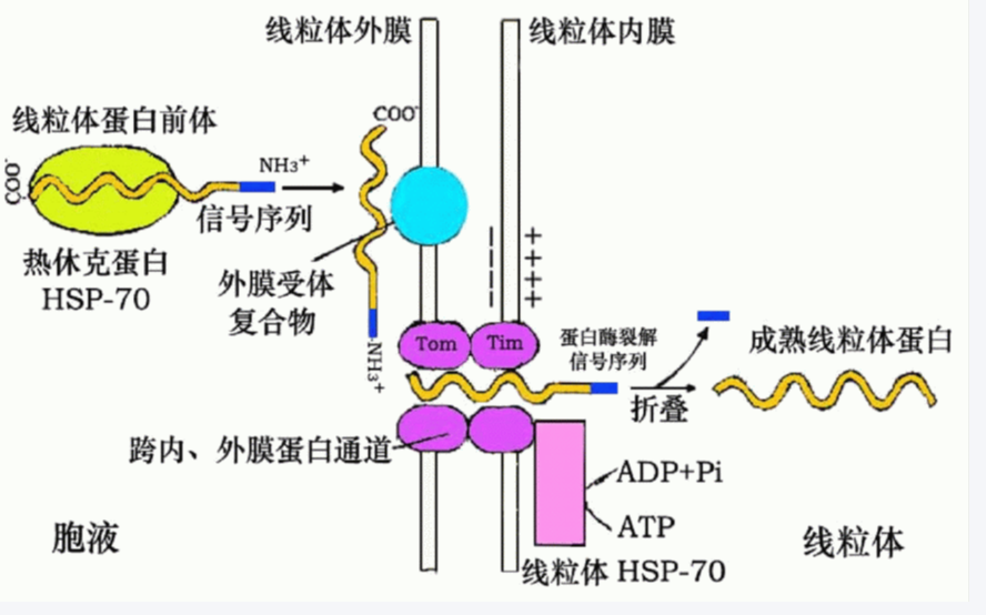 84a4105de82551b3b85aca5c2f390df5.png 84a4105de82551b3b85aca5c2f390df5.png