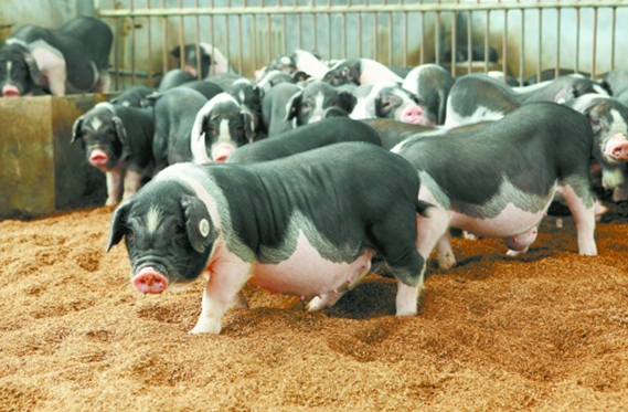 1d4dd95fe12418af4fc034b4feff3530.png 1d4dd95fe12418af4fc034b4feff3530.png