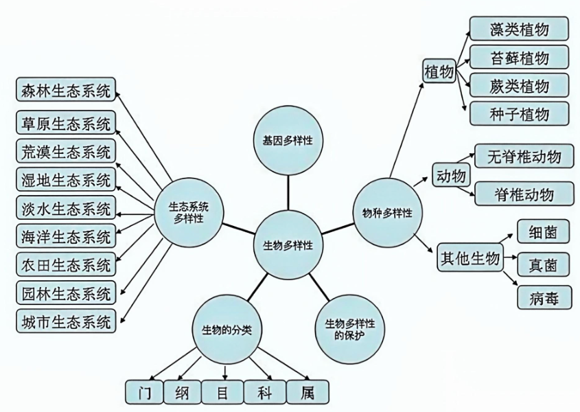 91d7183946bf54a35aec2bf7f2c226f2.png 91d7183946bf54a35aec2bf7f2c226f2.png