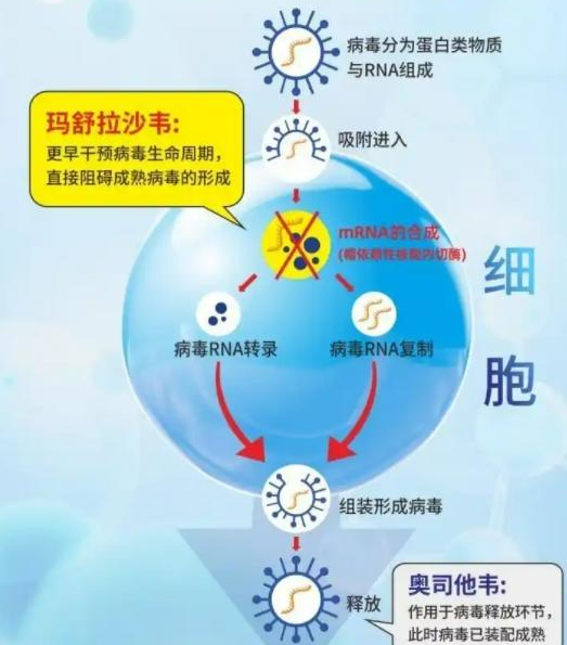 534ac82e4122a34a10e4e8d50317652c.png 534ac82e4122a34a10e4e8d50317652c.png