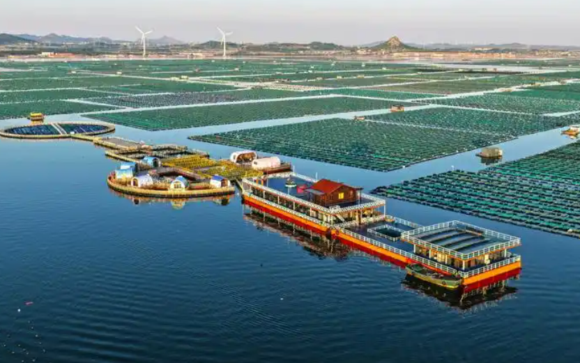 88f1c3339d34b58e39d2a64a73d305b6.png 88f1c3339d34b58e39d2a64a73d305b6.png