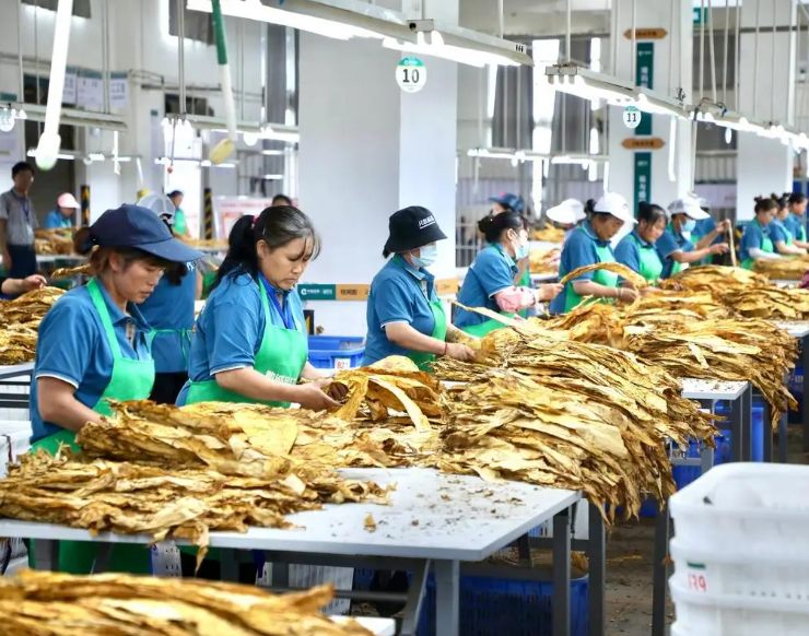 0de20f06d7e6b630903a10426673ff09.png 0de20f06d7e6b630903a10426673ff09.png