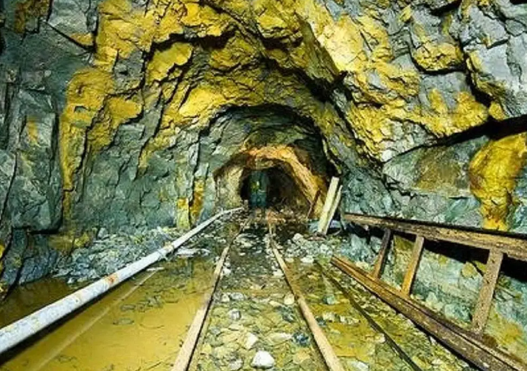 14246884ed9ae8e553812d9586cbdd29.png 14246884ed9ae8e553812d9586cbdd29.png