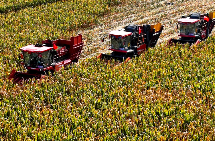 0e14cdeccbb30dbe9ed0460a63a5d7ef.png 0e14cdeccbb30dbe9ed0460a63a5d7ef.png