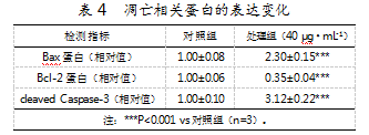 8174ad7e2e64f601ba8e8d4be10e9703.png