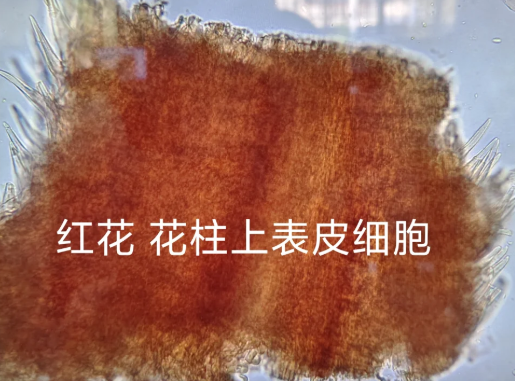 d62c2054d6e60233b4de83baa13bb89f.png