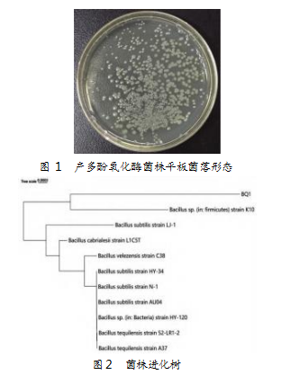dd3c36652dc9f2e090f5b0330d650fc9.png