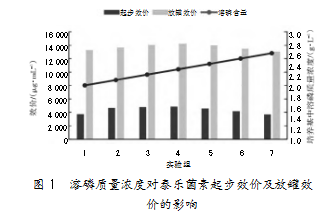 2e20251cc97cab57a76f45af043c0788.png