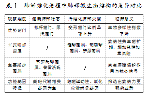 f77322e99c86b2db7df73f3ca6d661be.png