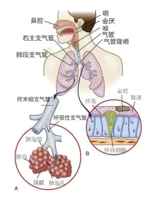 ed07b2ef3b53ae0417425982cec571e1.png
