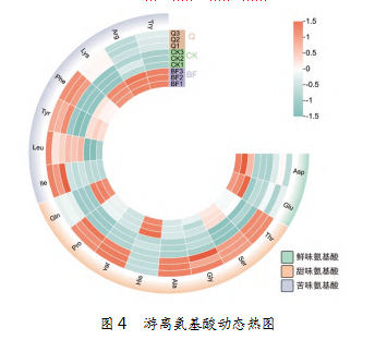 85b0c63cd6138abe772cca36f2dfc32e.png