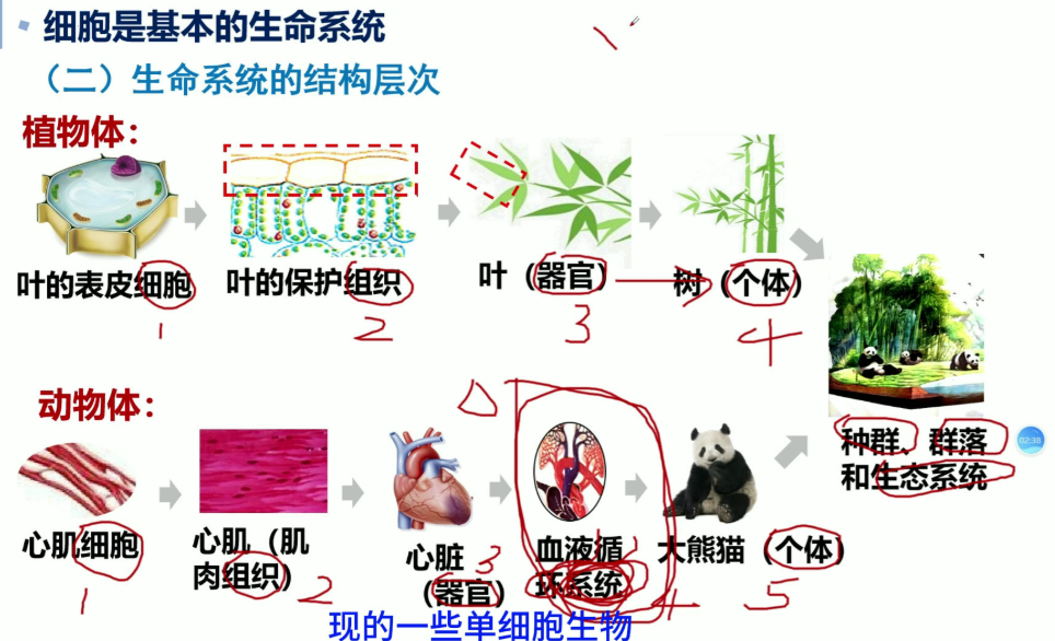 63a07792bb48db7c6e6f01c5a55f968a.png