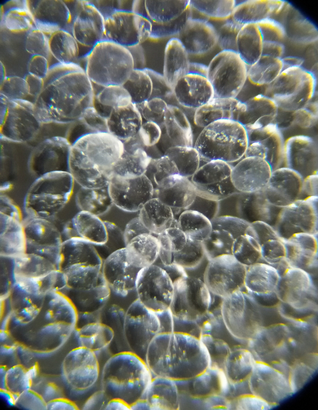 db3469ecea064e622216fd03be0533d4.png