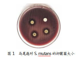 d84d19e79c15b6b1048c9f1f6ce76fda.png