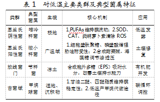750f318eb091c4f73c5c8962b6b97382.png